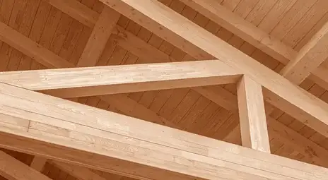 Carport bois Saint Just-3